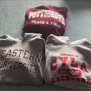 Sweatshirt/hoodie bundle